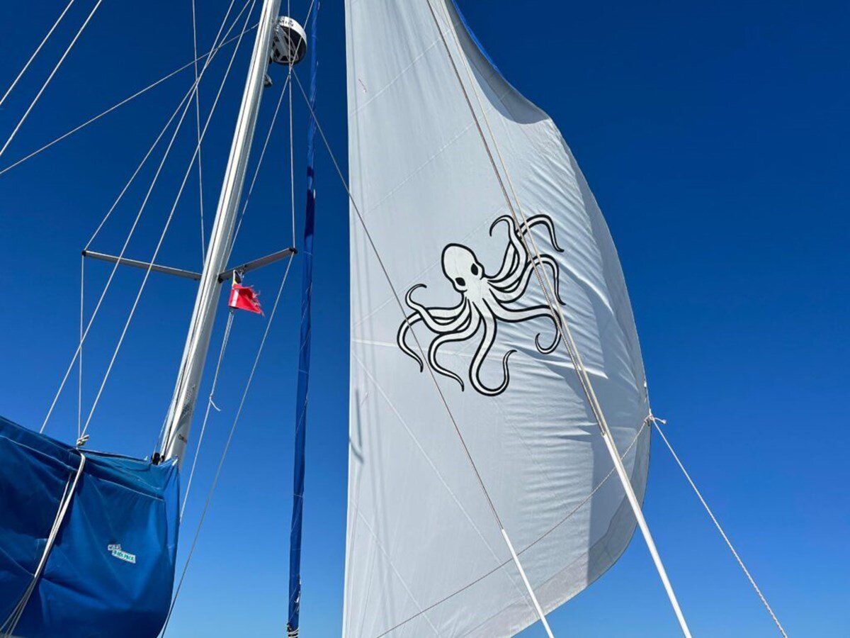 2016-maine-cat-38-0351f9