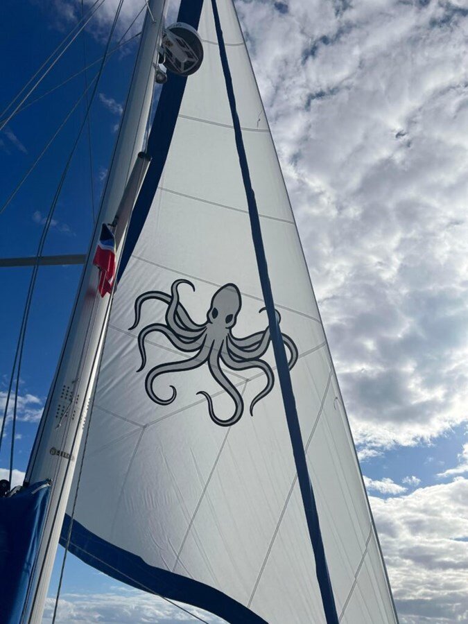 2016-maine-cat-38-0351f9