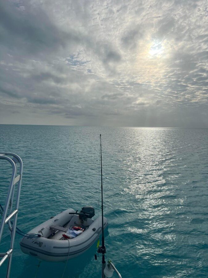 2016-maine-cat-38-0351f9