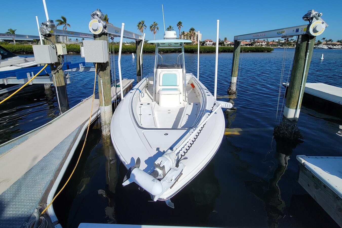 2017-blackwood-27-c4cd39