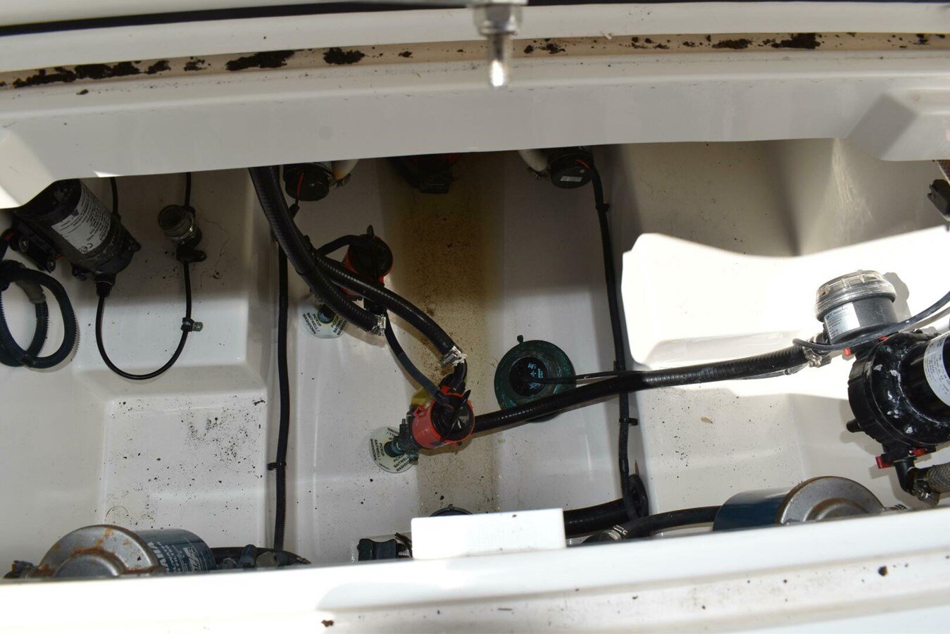 2017-century-boats-32-0fddcb