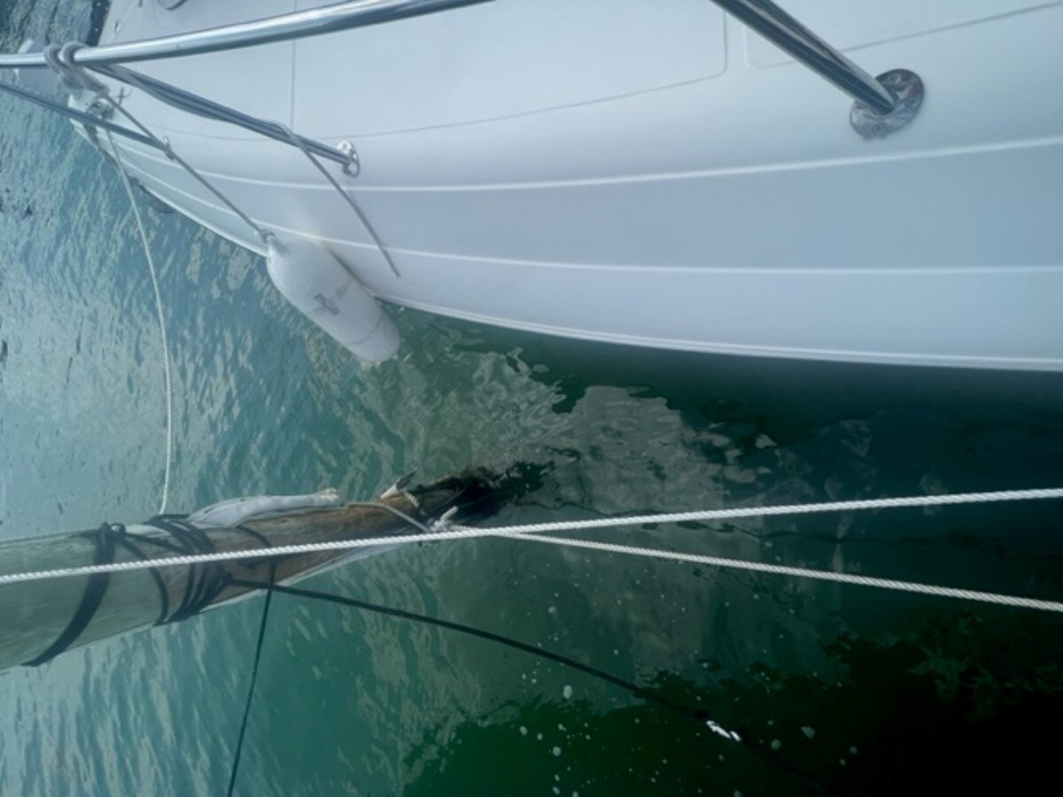 2018-schaefer-yachts-37-5-b43271