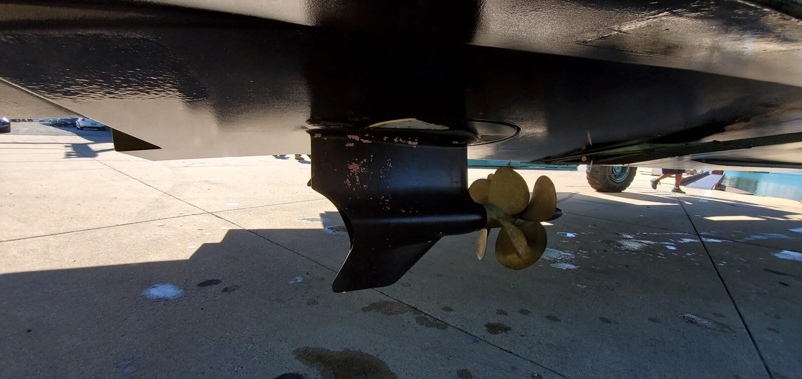 2019-absolute-50-555460