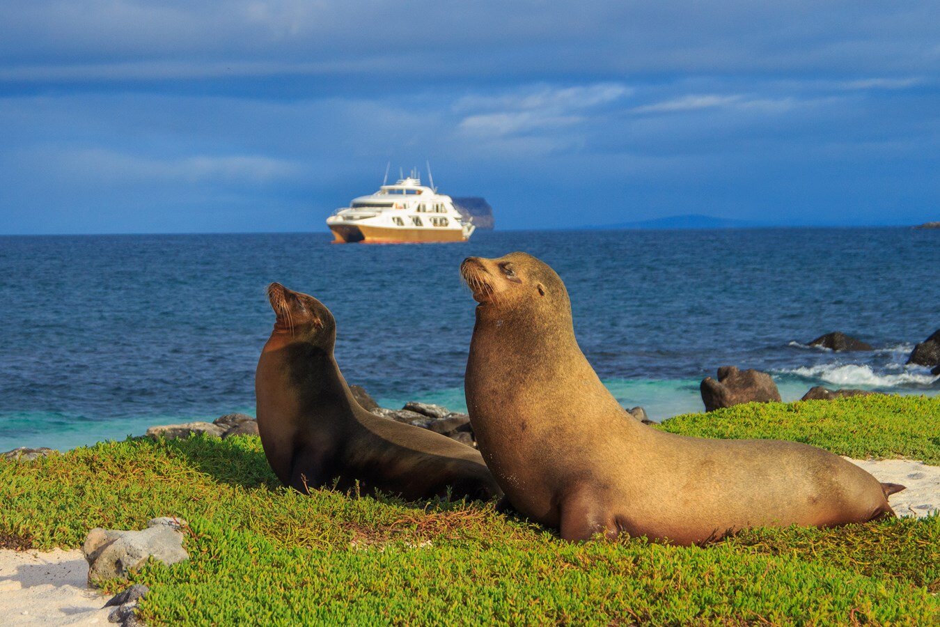 2019 GALAPAGOS ISLANDS - CUSTOM BUILD 123' 1