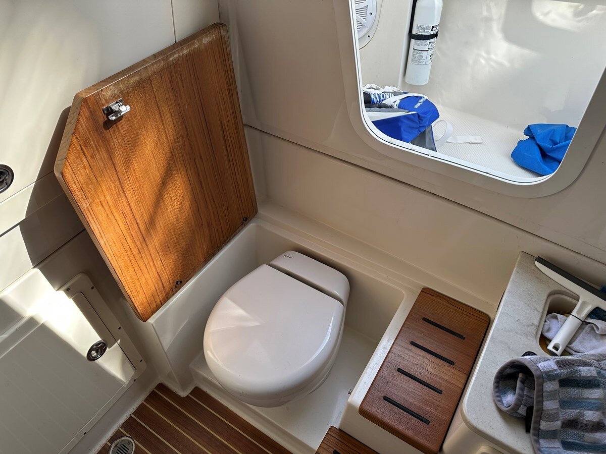 2019-sailfish-36-79d317