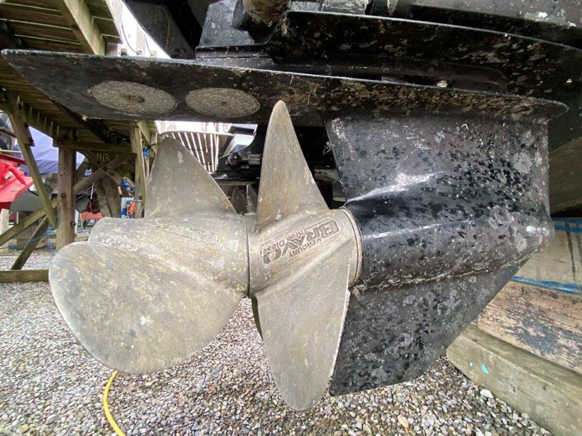 2020-comitti-36-1-732ff5