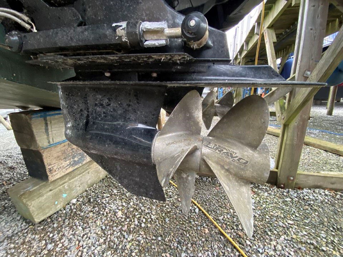 2020-comitti-36-1-732ff5