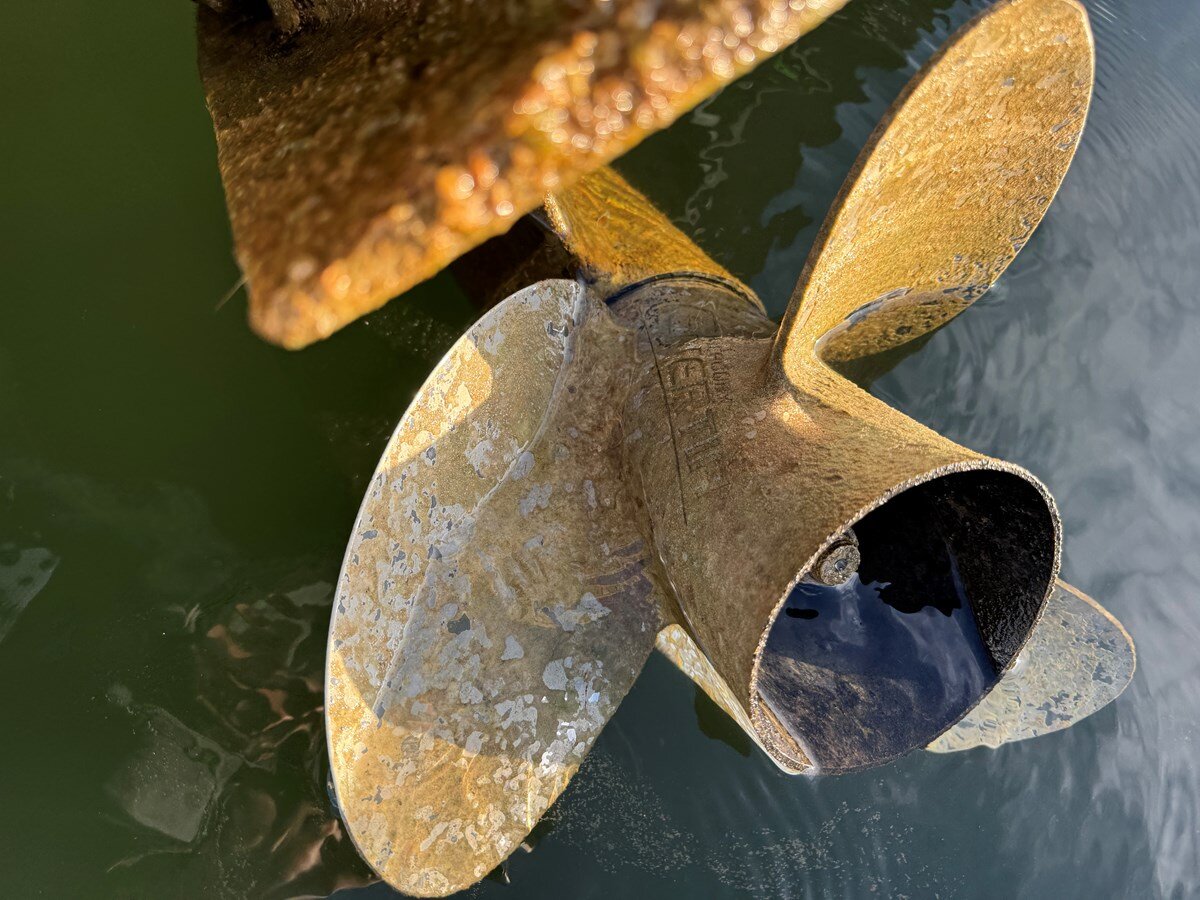 2020-harris-26-7bb7c1