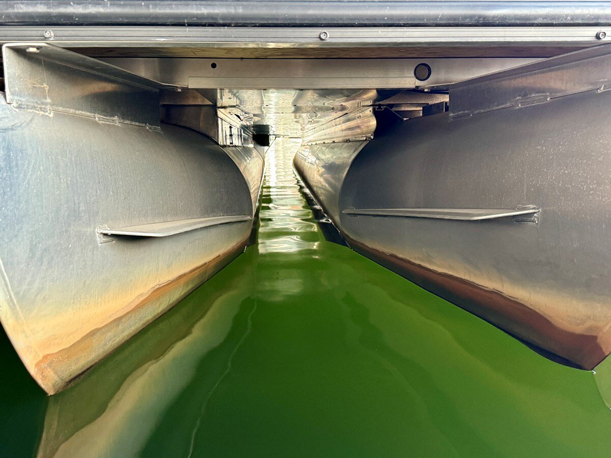 2020-harris-26-7bb7c1