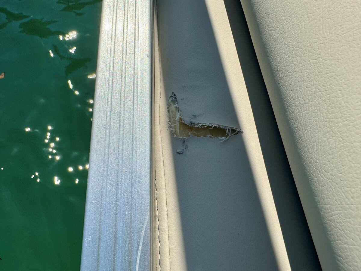 2021-harriskayot-27-11-02a3ce