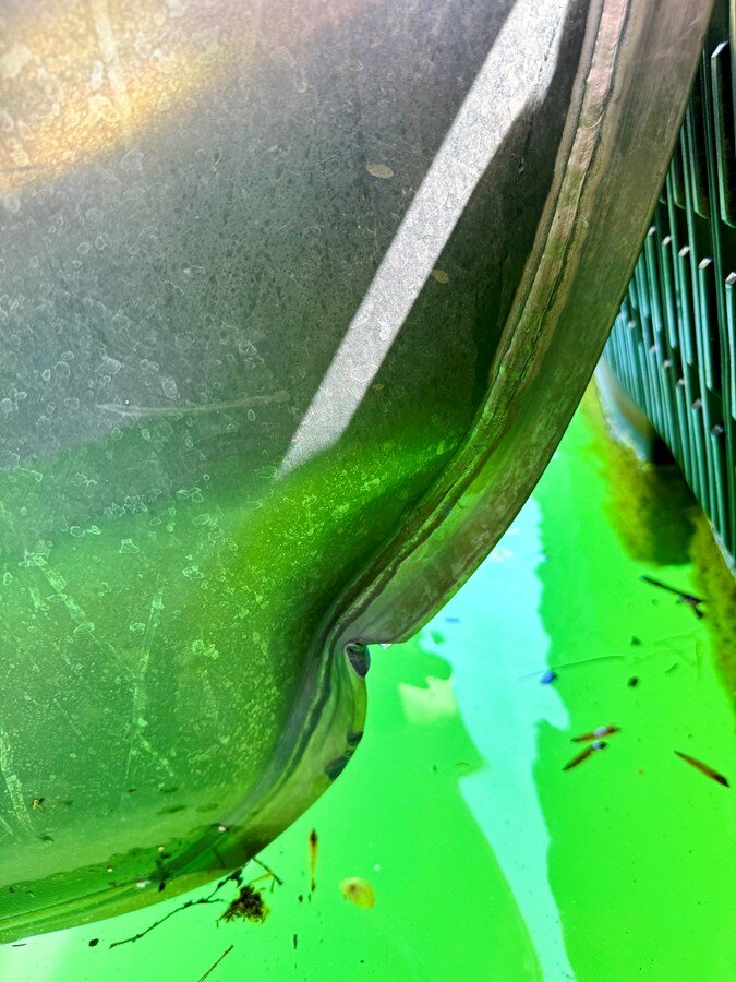 2021-harriskayot-27-11-02a3ce