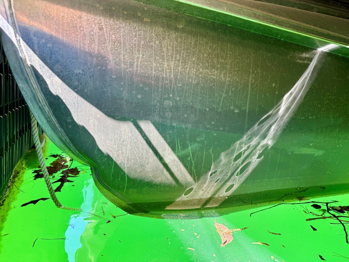 2021-harriskayot-27-11-02a3ce