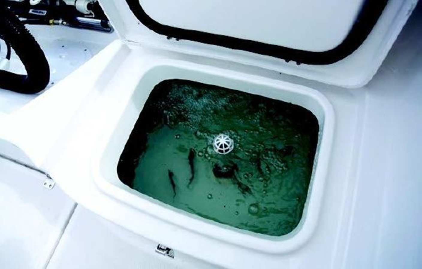 2022-aquasport-23-4-8a8633