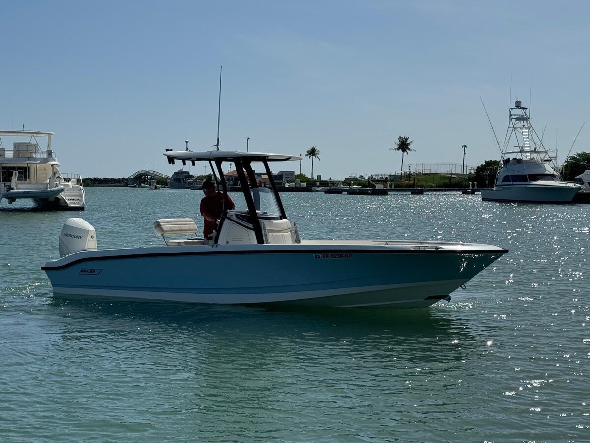 2022-boston-whaler-25-ef8efe