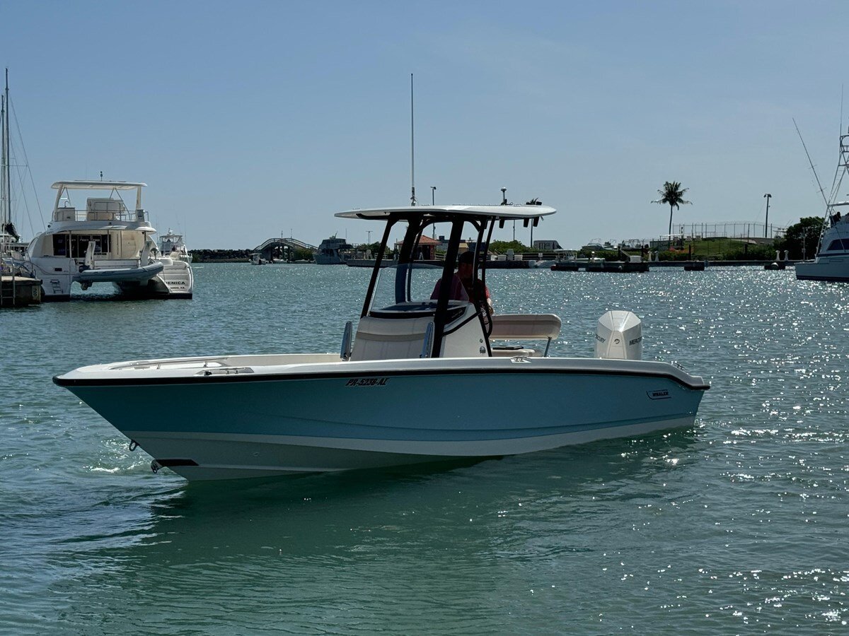 2022-boston-whaler-25-ef8efe