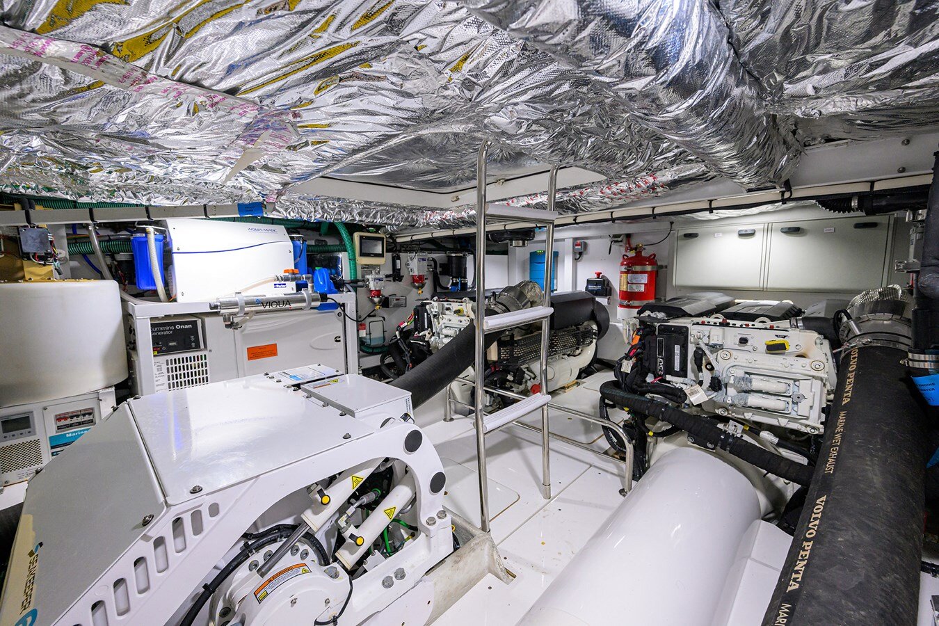 2022-princess-50-1e2d60