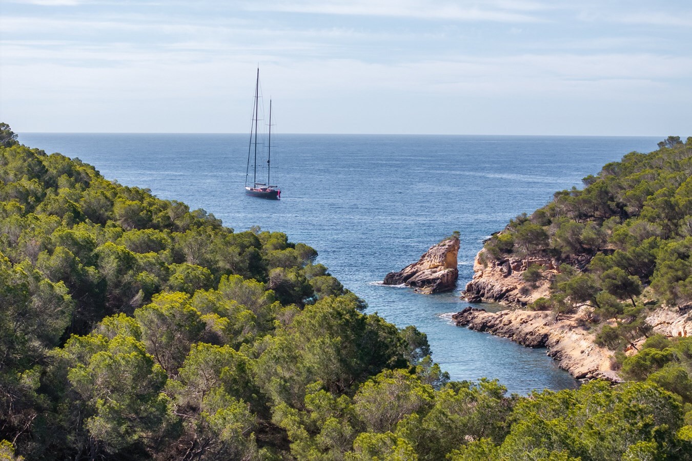 2023-vitters-193-7-a6c3f0