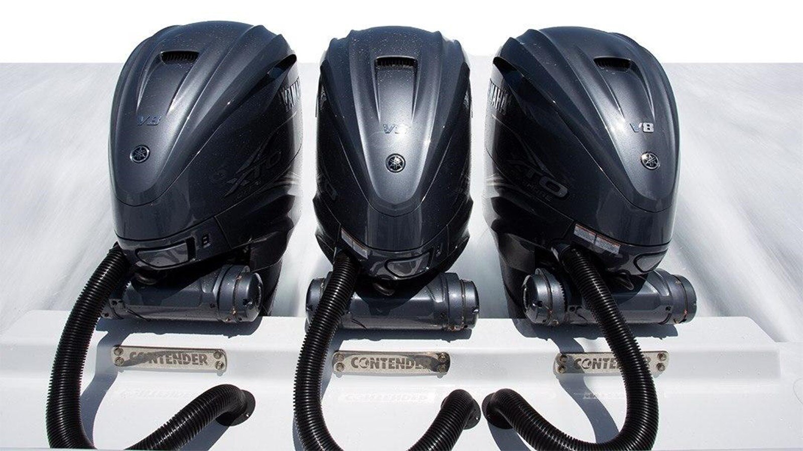 2024-contender-44-c89901