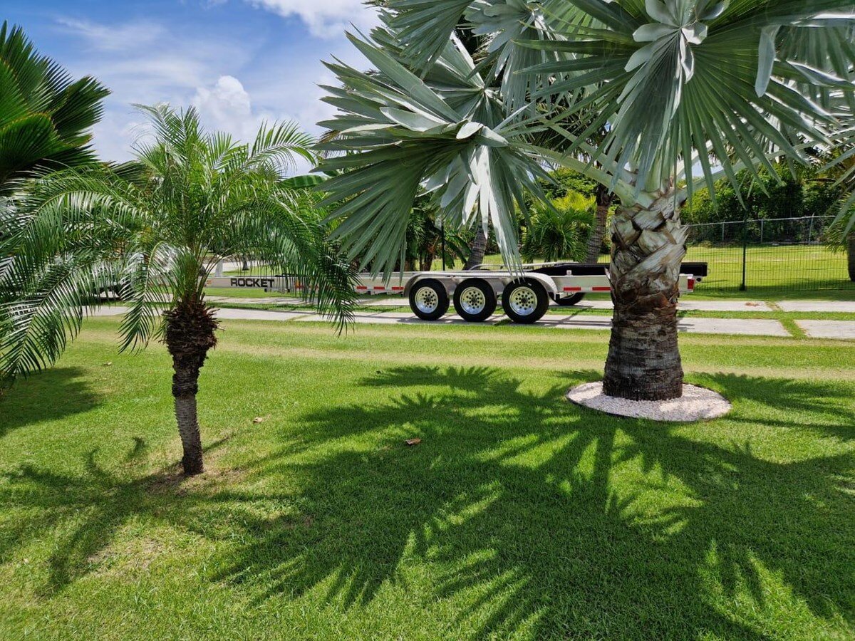 2024-contender-44-c89901