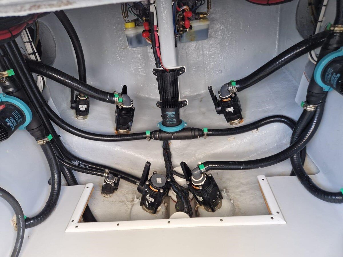 2024-contender-44-c89901