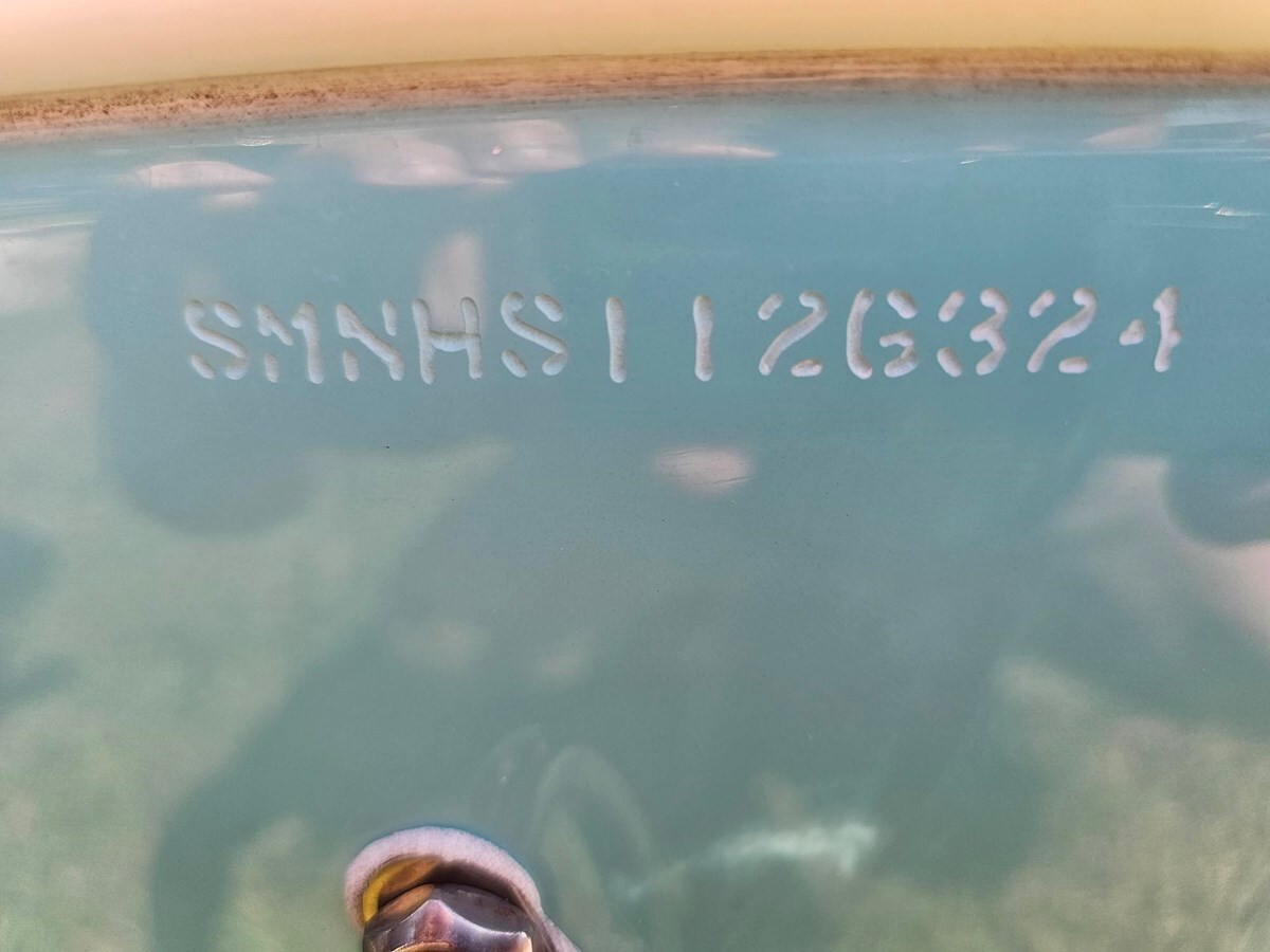 2024-sportsman-23-4-c7cb07