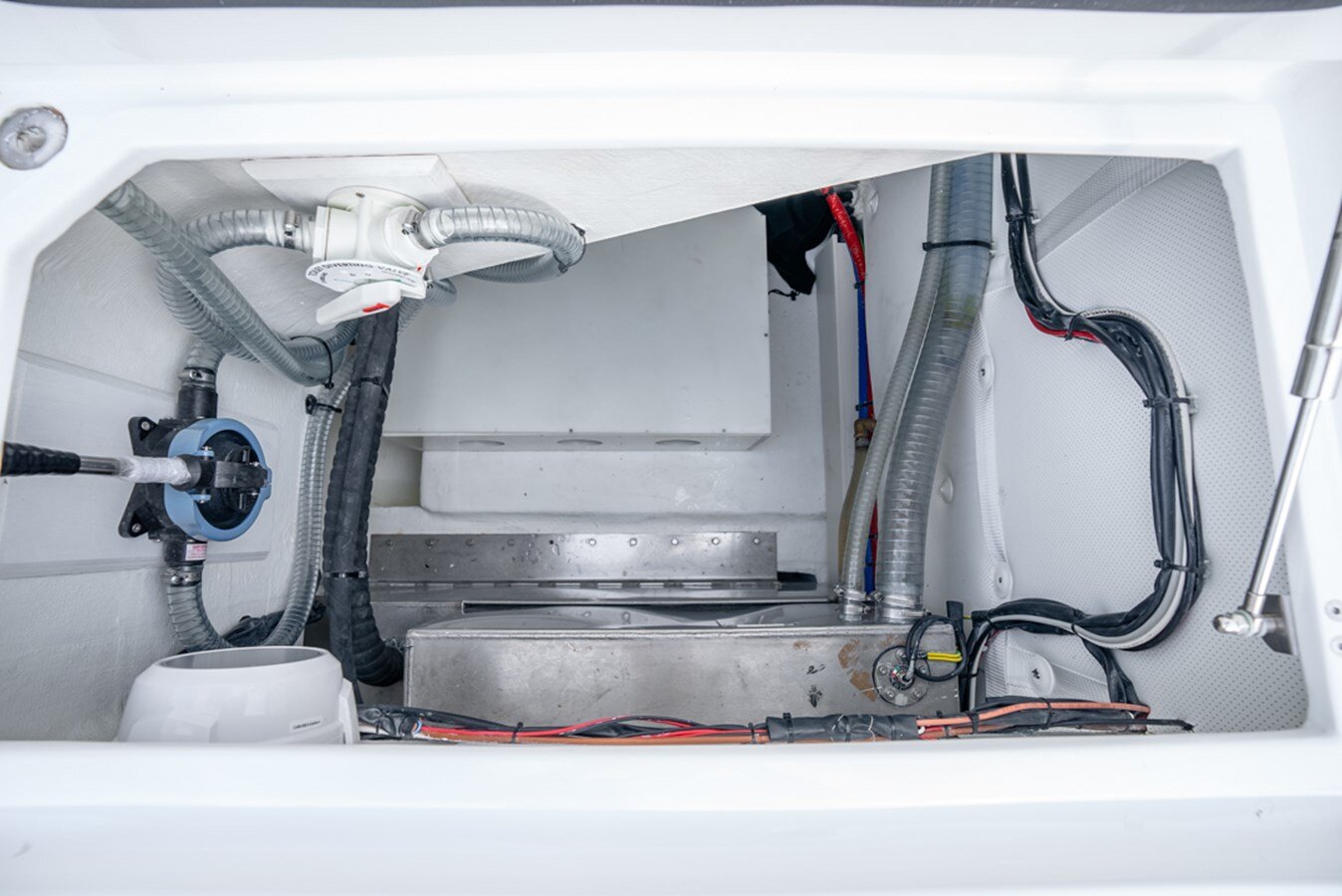 2024-vandutch-48-880b0e